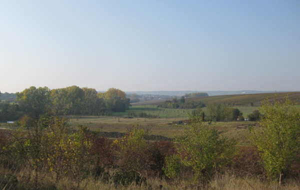 Weinbergsrundfahrt Biohof Borng&auml;sser
