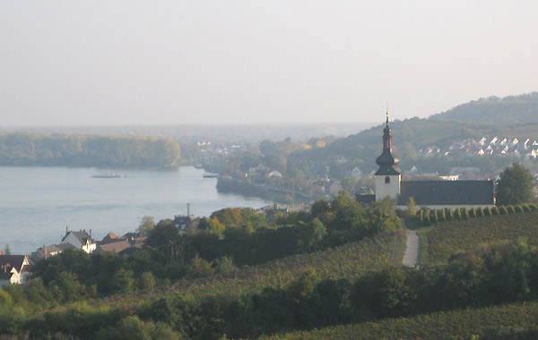 Weinbergsrundfahrt Biohof Borng&auml;sser