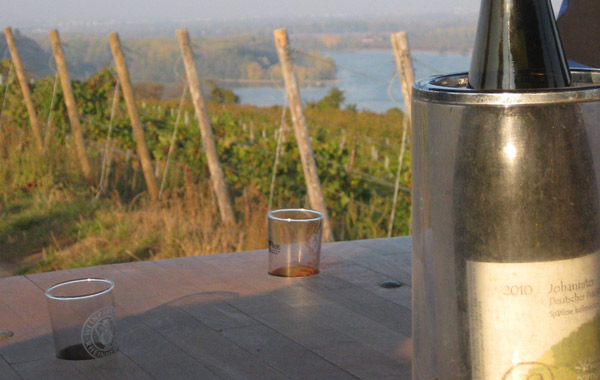 Weinbergsrundfahrt Biohof Borng&auml;sser