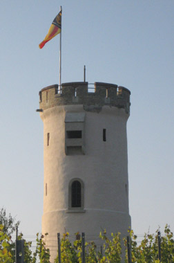 Weinbergsrundfahrt Biohof Borng&auml;sser